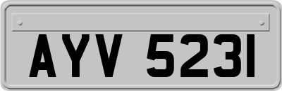 AYV5231