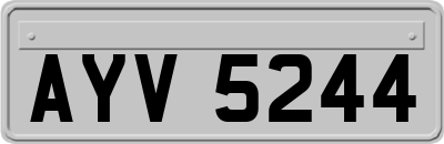 AYV5244