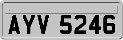 AYV5246