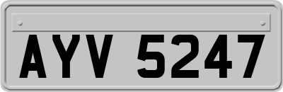 AYV5247