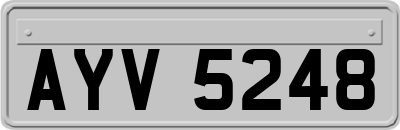 AYV5248