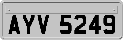 AYV5249