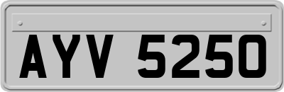 AYV5250