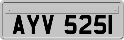 AYV5251
