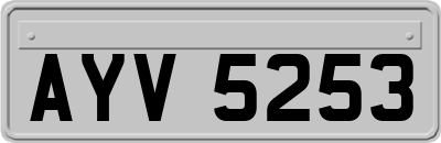 AYV5253