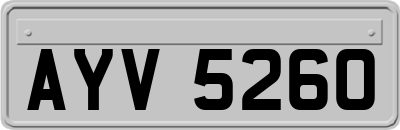 AYV5260