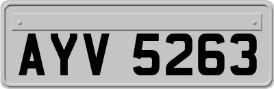 AYV5263