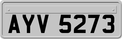AYV5273