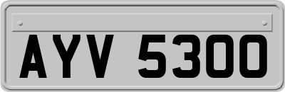 AYV5300