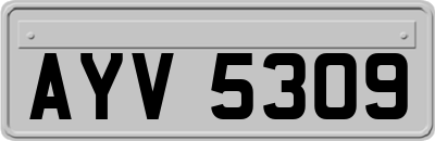 AYV5309
