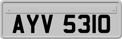 AYV5310