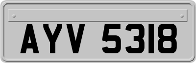 AYV5318