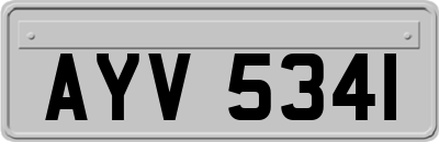 AYV5341