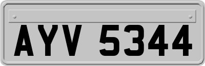 AYV5344