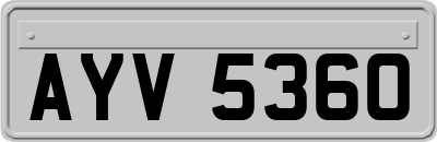 AYV5360