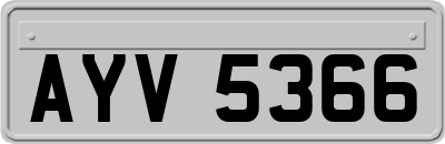 AYV5366