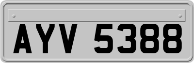 AYV5388