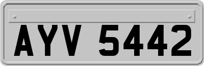 AYV5442