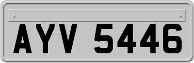 AYV5446