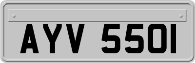AYV5501