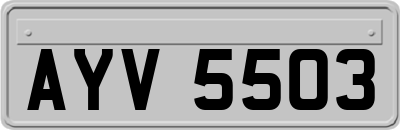 AYV5503