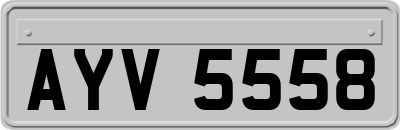 AYV5558