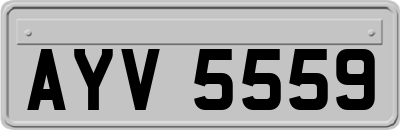 AYV5559