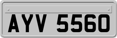AYV5560