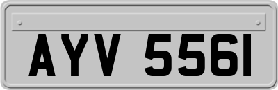 AYV5561
