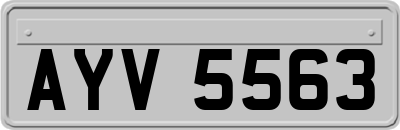 AYV5563
