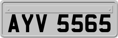 AYV5565