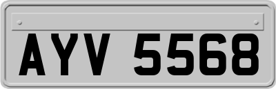 AYV5568