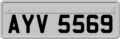 AYV5569