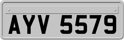 AYV5579