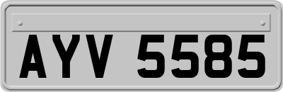 AYV5585