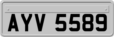 AYV5589