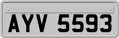 AYV5593
