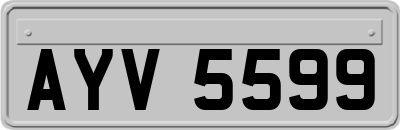 AYV5599