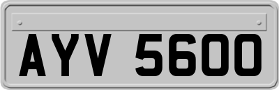 AYV5600