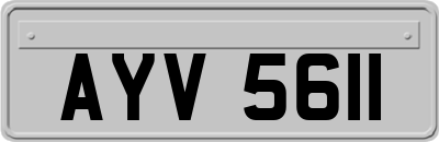 AYV5611