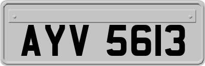 AYV5613