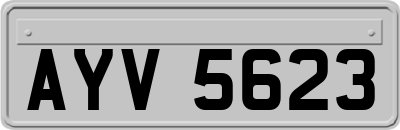 AYV5623