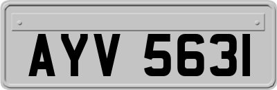AYV5631