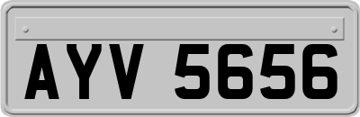 AYV5656