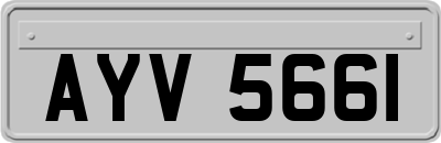 AYV5661