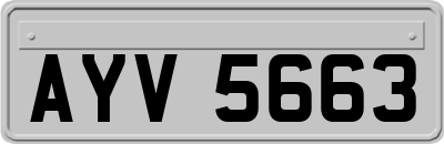 AYV5663