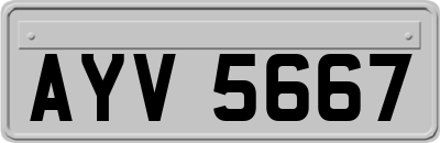 AYV5667
