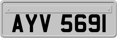 AYV5691