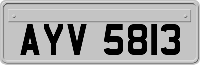 AYV5813
