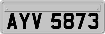 AYV5873